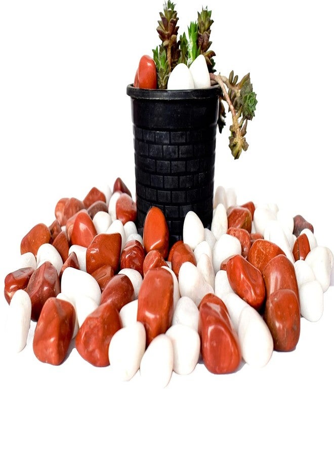 Power Stone Decorative Coloured Asymmetric Marble Stone Pebbles for Vase Filler Plant Pots Home Aquarium Fish Tanks Landscape Outdoor Garden Decoration (Brown & White, 2 Kg) - Image 2